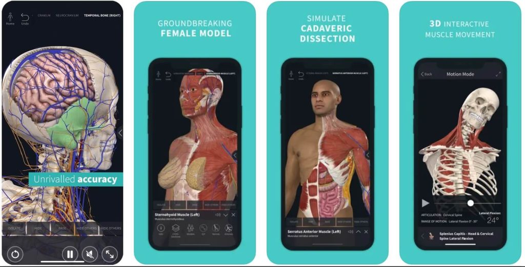 Aplikacja pozwala przedstawia najmniejsze szczegóły każdej warstwy ciała człowieka
