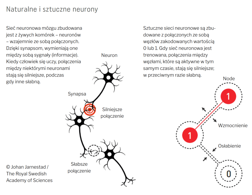 Jak działają sztuczne sieci neuronowe? 