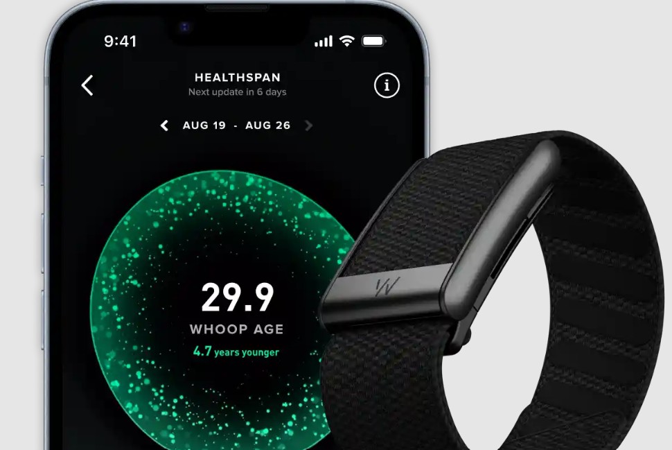 Z Whoop korzysta podobno Cristiano Ronaldo i Aryna Sabalenka (zdjęcie: Whoop)