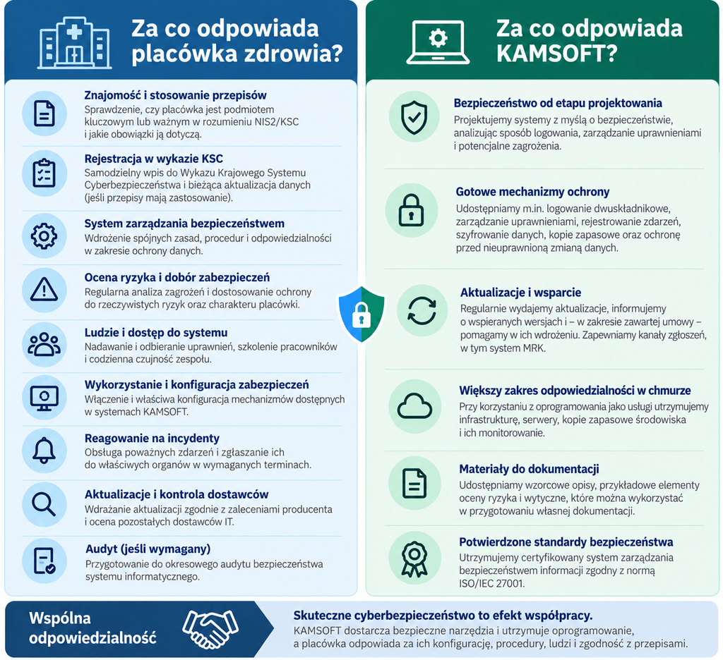Zakres odpowiedzialności ochrony danych między dostawcą IT a placówką zdrowia